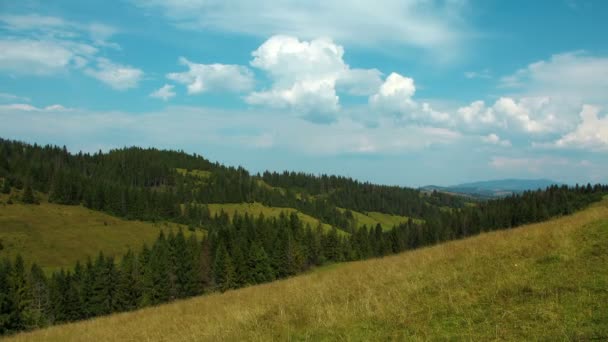 Montanhas com árvores coníferas — Vídeo de Stock