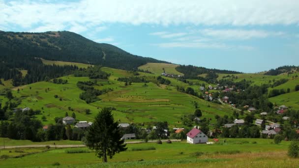 Groene velden in het dorp — Stockvideo