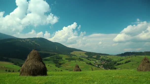 Haystacks yeşil tarlalarda — Stok video