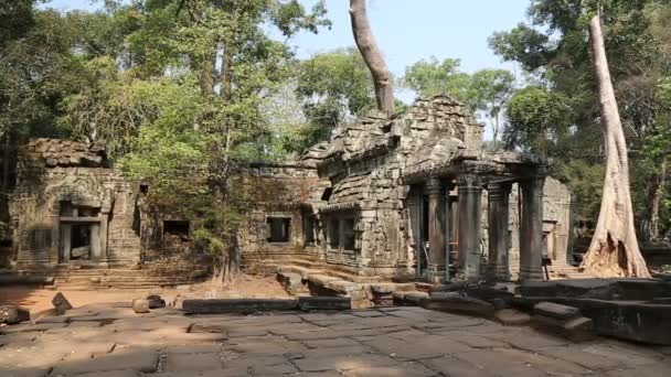 Angkor thom tempelcomplex — Stockvideo