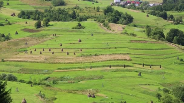 Красивые зеленые холмы и стоги сена — стоковое видео