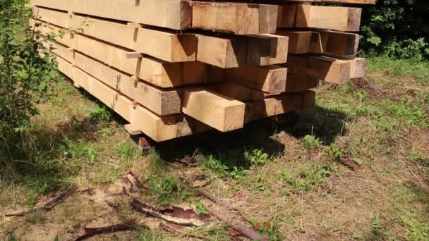 Maderas cuadradas de madera para el edificio — Vídeos de Stock