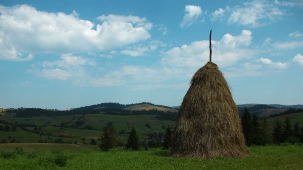 Haystack em campo verde — Vídeo de Stock