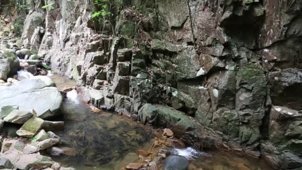 Fishes swim in mountain river — Stock Video