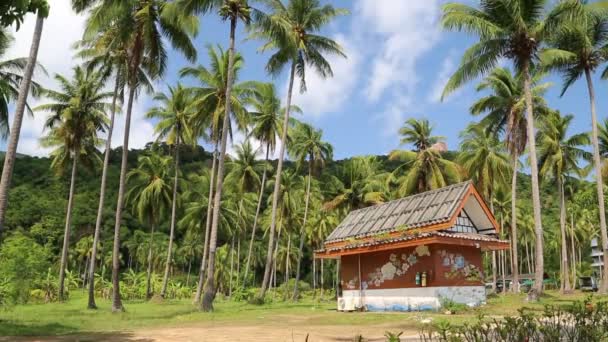 Маленький домик среди пальм — стоковое видео