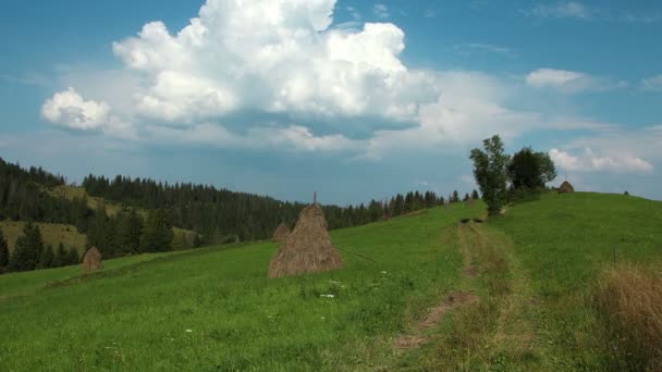 Timelapse хмар і красивий зелений луг — стокове відео