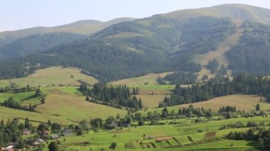 Güzel yeşil tepeler ve iğne yapraklı orman