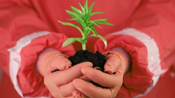 Hombre sosteniendo tierra y planta — Vídeos de Stock