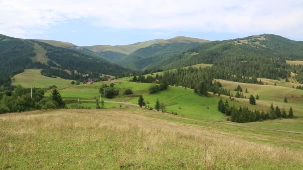Vackra gröna kullar och berg — Stockvideo