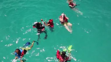 Denizde yüzme snorkelers