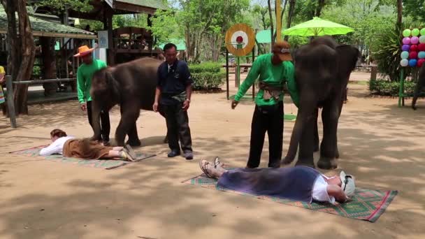 Personas en exhibición de elefantes en Tailandia — Vídeo de stock