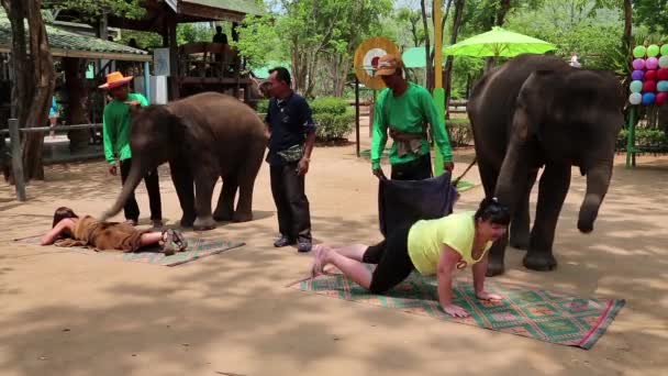 Personas en exhibición de elefantes en Tailandia — Vídeo de stock