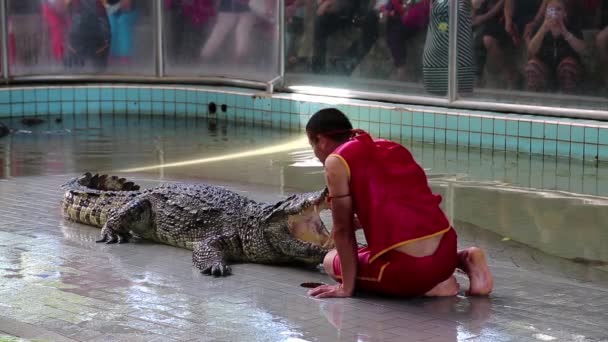 Persone allo spettacolo coccodrillo estremo a Pattaya — Video Stock