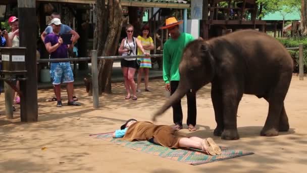 Personas en exhibición de elefantes en Tailandia — Vídeo de stock