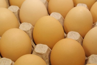 Chicken eggs in tray. Fresh yellow chicken eggs. Clean yellow chicken eggs in a tray, close-up shot photo 2