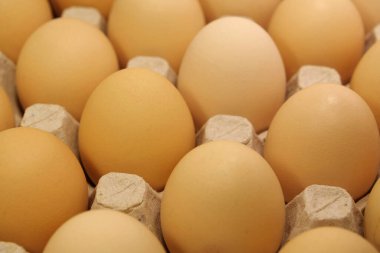 Tepside koyu bej tavuk yumurtası