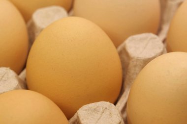 Taze sarı tavuk yumurtası. Tepside temiz tavuk yumurtası, aşırı yakın plan.