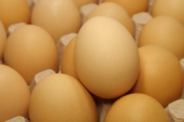 Tepside tavuk yumurtası. Taze sarı tavuk yumurtası. Tepside temiz sarı tavuk yumurtası, yakın çekim.