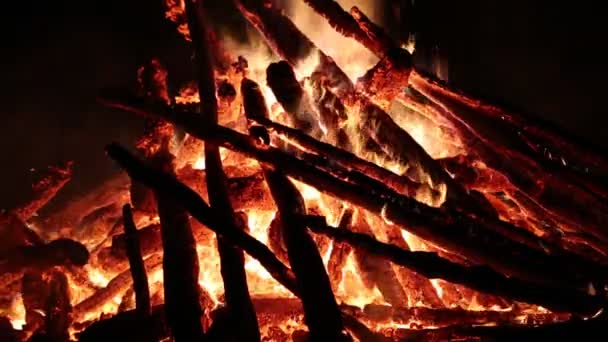 Vlammen van vreugdevuur. Brandende brandhout — Stockvideo