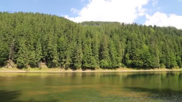 Lago Synevir en Montañas Cárpatos, Ucrania — Vídeos de Stock