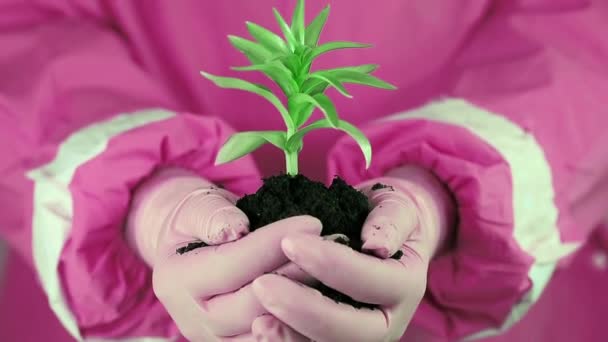 Vrouw bedrijf groene jonge plant — Stockvideo