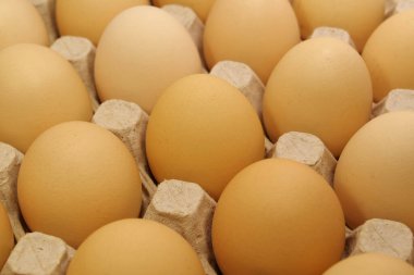 Taze sarı tavuk yumurtası. Tepside tavuk yumurtası. Tepside temiz sarı tavuk yumurtası, yakın plan fotoğraf.