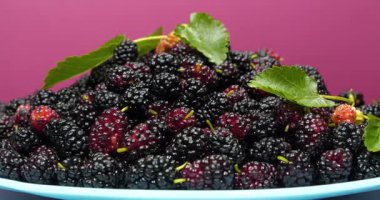 Dut böğürtlenleri mavi tabakta yatar ve döner. Meyveleri birçok yararlı özelliği olan dut ağacı. Morus, Moraceae ailesinde çiçek açan bitkiler cinsi.