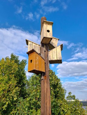 Birçok kuş evi bir direğe çivilenmiş ve farklı yönlere bakıyor.