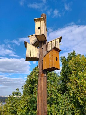 Kuş evleri farklı yönlere bakan bir direğe çivilenir.