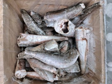Donmuş balık, buzdolabında deniz ürünleri.