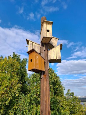 Kuş evleri bir direğe çivilenmiş ve farklı yönlere bakıyor.