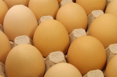 Karton tepside sarı tavuk yumurtası