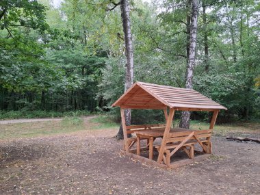 Bir orman parkında dinlenmek ve yemek yemek için çatısı ve masası olan tahta bir çardak. Küçük bir açık hava yapısıdır ve genellikle bahçelerde veya parklarda dinlenmek için kullanılır, çatısı ve açık duvarları vardır.