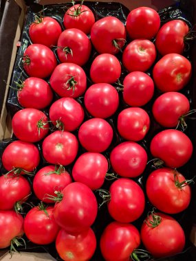Kırmızı domates. Markette sebzeler. Süpermarket raflarında sebzeler. Market tezgahları olgun mevsimlik sebzelerle doludur.