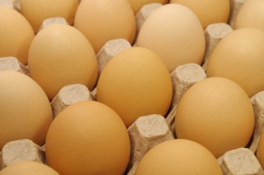 Koyu bej tavuk yumurtaları, yakın plan 2.