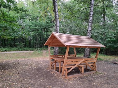 Orman parkında dinlenmek için çatısı ve masası olan ahşap bir çardak. Küçük bir açık hava yapısıdır ve genellikle bahçelerde veya parklarda dinlenmek için kullanılır, çatısı ve açık duvarları vardır.