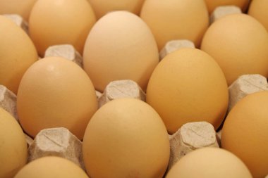 Tepside koyu bej tavuk yumurtası, yakın plan.