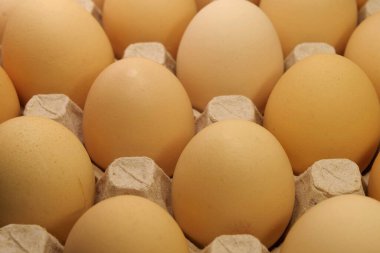 Karton tepside tavuk yumurtası