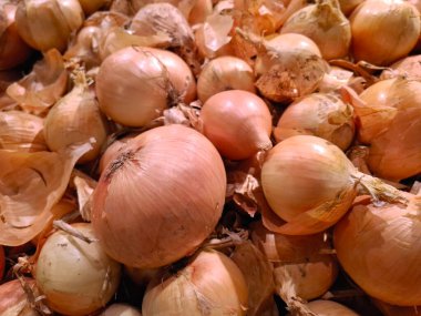 Süpermarket raflarında sebzeler. Markette soğan soğanı. Market tezgahları olgun mevsimlik sebzelerle doludur.