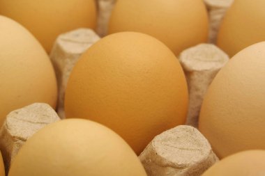 Chicken eggs in tray. Fresh yellow chicken eggs. Clean yellow chicken eggs in a tray, close-up shot photo 2