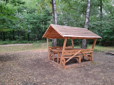 Bir orman parkında dinlenmek ve yemek yemek için yeni, ahşap bir çardak ve çatılı bir masa. Küçük bir açık hava yapısıdır ve genellikle bahçelerde veya parklarda dinlenmek için kullanılır, çatısı ve açık duvarları vardır.