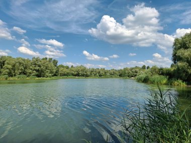 Güneşli bir yaz gününde ağaçlarla güzel bir göl manzarası. Kıyısında ağaçlar olan güzel bir yaz gölü. Beyaz bulutlu güzel gökyüzü