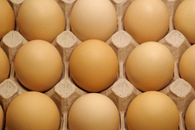 Tepside temiz sarı tavuk yumurtası, üst manzara. Taze koyu bej tavuk yumurtası, yakın plan fotoğraf.