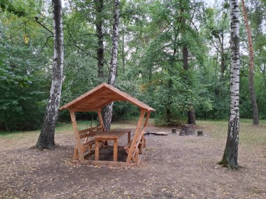 Bir orman parkında dinlenmek ve yemek yemek için yeni, ahşap bir çardak ve çatılı bir masa. Küçük bir açık hava yapısıdır ve genellikle bahçelerde veya parklarda dinlenmek için kullanılır, çatısı ve açık duvarları vardır.
