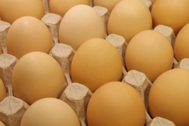 Taze sarı tavuk yumurtası. Tepside tavuk yumurtası. Tepside temiz tavuk yumurtası, yakın çekim.