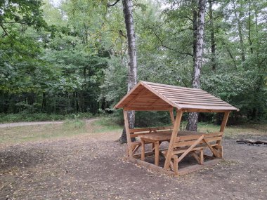 Orman parkında dinlenmek ve yemek yemek için yeni, ahşap bir çardak ve çatılı bir masa. Küçük bir açık hava yapısıdır ve genellikle bahçelerde veya parklarda dinlenmek için kullanılır, çatısı ve açık duvarları vardır.