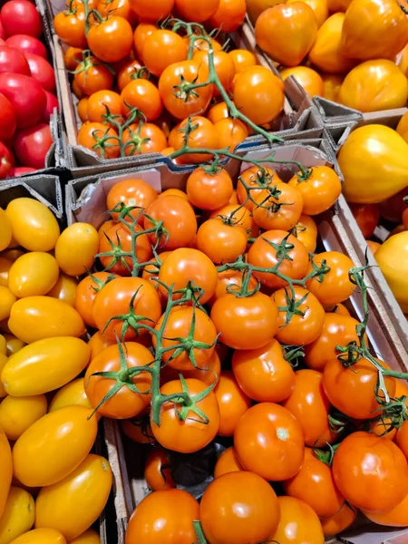 Markette taze sebzeler. Yeşil dallı turuncu domatesler. Market tezgahları olgun meyve ve mevsimlik sebzelerle dolu.