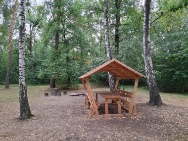 Bir orman parkında dinlenmek ve yemek yemek için yeni, ahşap bir çardak ve çatılı bir masa. Küçük bir açık hava yapısıdır ve genellikle bahçelerde veya parklarda dinlenmek için kullanılır, çatısı ve açık duvarları vardır.