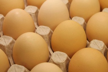 Taze sarı tavuk yumurtası. Tavuk yumurtalarını tepside temizle.