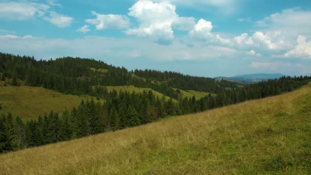 Hermosas montañas verdes con árboles de coníferas — Vídeos de Stock